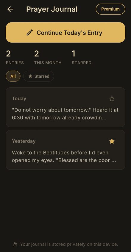 The prayer journal with two entries, one starred: Do not worry about tomorrow, and the Beatitudes